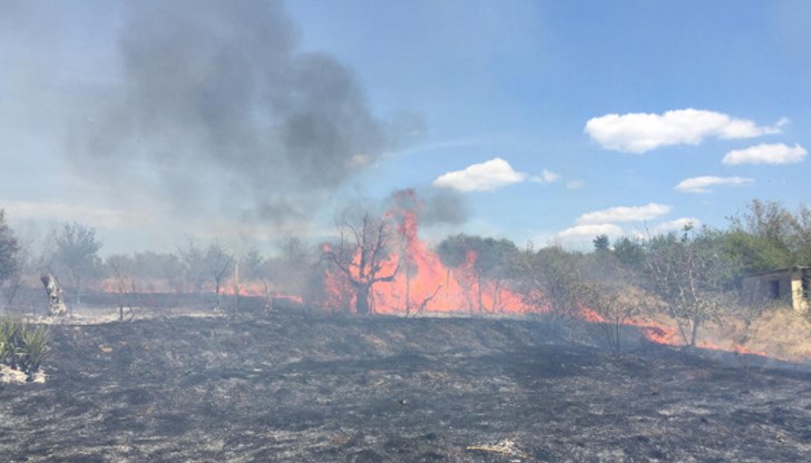 Мярката се прилага за общините Димитровград, Хасково, Харманли и Тополовград Мярката се прилага за общините Димитровград, Хасково, Харманли и Тополовград