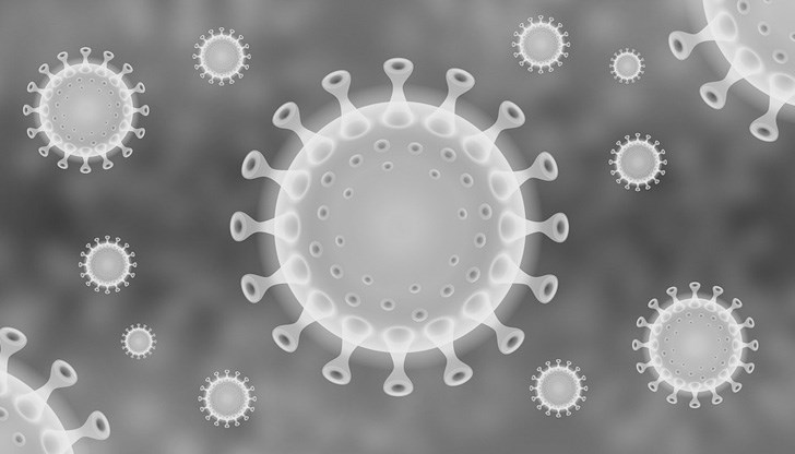 Шест от тях са от дома за стари хора „Възраждане“ Шест от тях са от дома за стари хора „Възраждане“