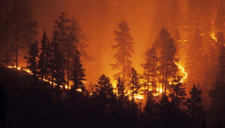 Възможни са бързо разпространяващи се много силни пожари с въвличане на дървесните корони.