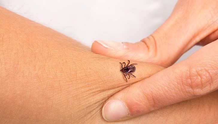 Ранните симптоми на лаймската болест включват висока температура и втрисане, главоболие, прострация, депресия Ранните симптоми на лаймската болест включват висока температура и втрисане, главоболие, прострация, депресия