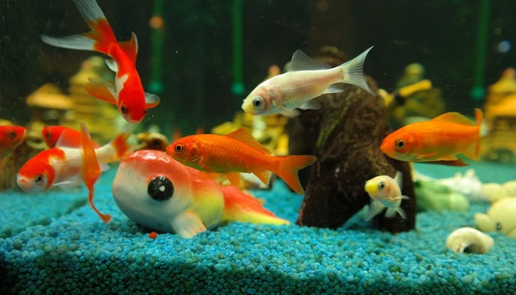 В основата на престъплението е скандал между бивши съпрузи В основата на престъплението е скандал между бивши съпрузи