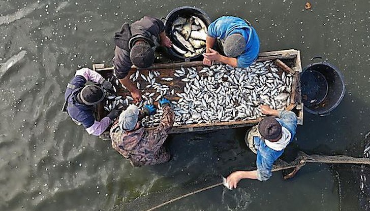 „Мемофиш“ е проект за паметта на рибарските общности по Дунав