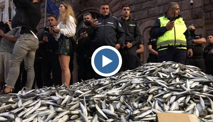 Посланието е „Рибата се вмирисва откъм главата”