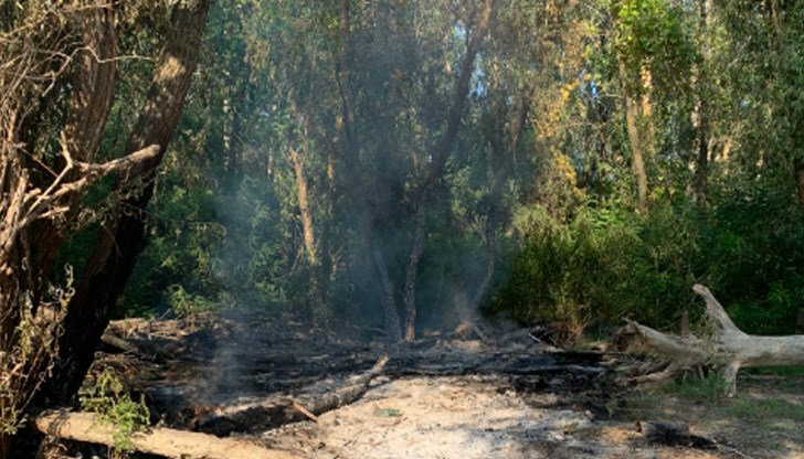Запалването било причинено от жители на Ряхово, но те не пожелали да гасят и си тръгнали