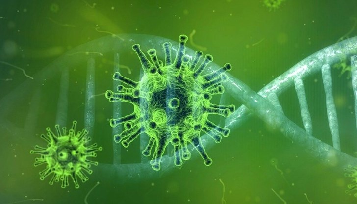 Коронавирусът има способността да провокира масивна имунна реакция, която пречи на борбата с инфекцията