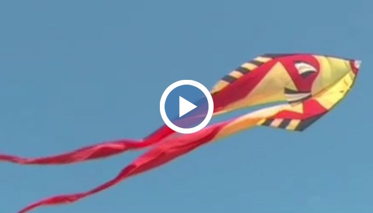 Професионалните клубове показват най-новите си творения, като сред тях има и атрактивни за децата обемни модели на различни животни