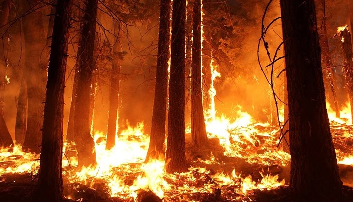 Екстремален индекс за пожароопасност е в сила за 14 области на страната за 7 август