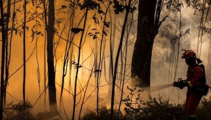 В резултат на инцидента са ранени трима членове на екипажа на самолета