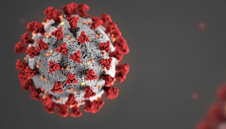 Най-много положителни тестове са регистрирани в София Най-много положителни тестове са регистрирани в София