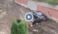 Бикове гонят хора и чупят коли в София
