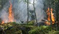 Опасност от пожари в 7 области в страната