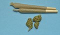 Хванаха мъж с марихуана на полигона край Русе
