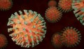 От петък до понеделник: 17 нови случая на коронавирус в област Русе