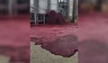 Хиляди литри вино се изляха в испански завод