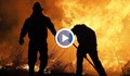 Решаващ фактор за пожарите е засушаването в световен мащаб