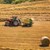 Зърнопроизводители натискат за намаляване на рентите