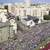 100 000 хиляди на митинг в Минск