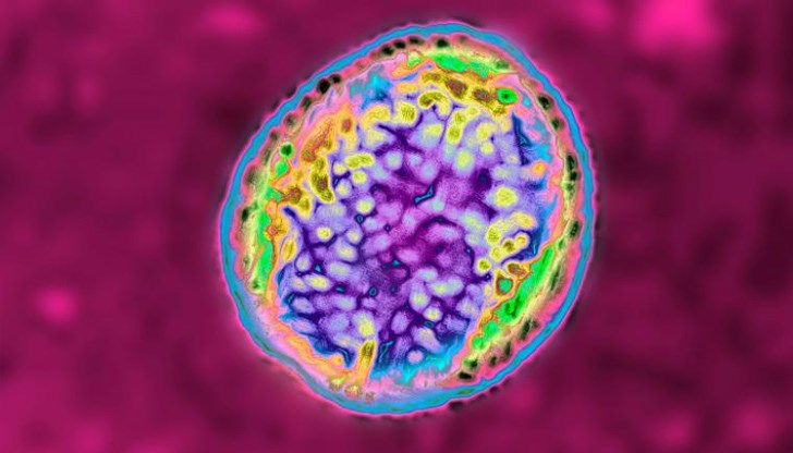 Симптомите на болестта са силна главоболие, треска, умора и болки в мускулите