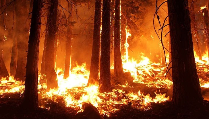 Освен пожари, русенските огнеборци са отреагирали и на запален автомобил, пламнала тераса и заклещен на дърво мъж