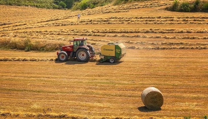 "Житницата на България" тази година е с рекордно ниски добиви на пшеница