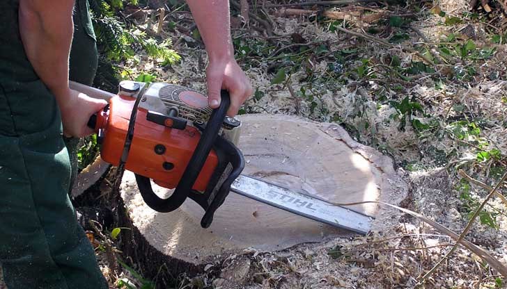 Момчето и мъжът от когото е извършена кражбата, били съседи в Кубрат Момчето и мъжът от когото е извършена кражбата, били съседи в Кубрат