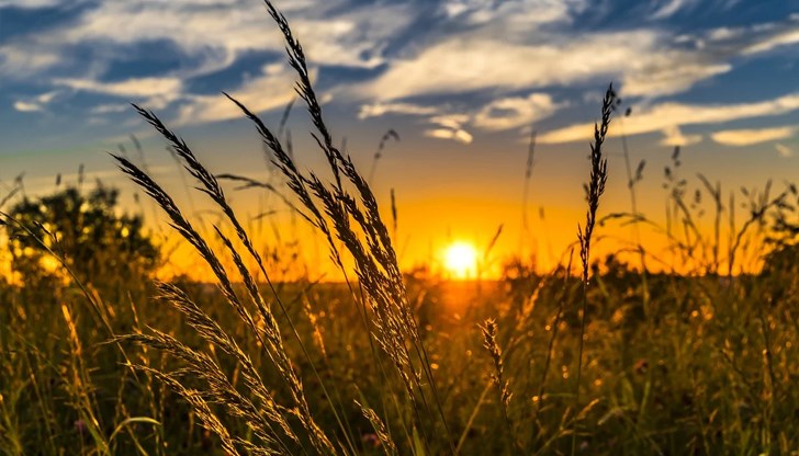 Максималните температури ще са между 25° и 30° Максималните температури ще са между 25° и 30°