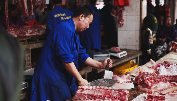 Откриха африканска чума по свинете в западната държава Откриха африканска чума по свинете в западната държава