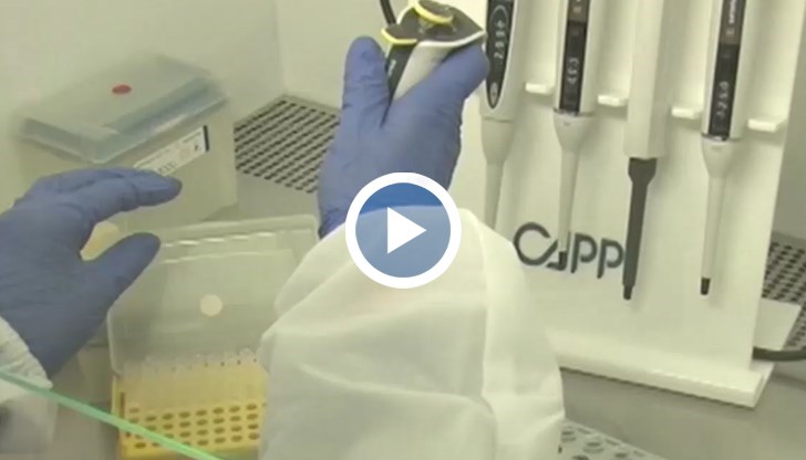 Ако тестовете върху хора са успешни, терапията с антитела може значително да наклони везните в борбата срещу COVID -19