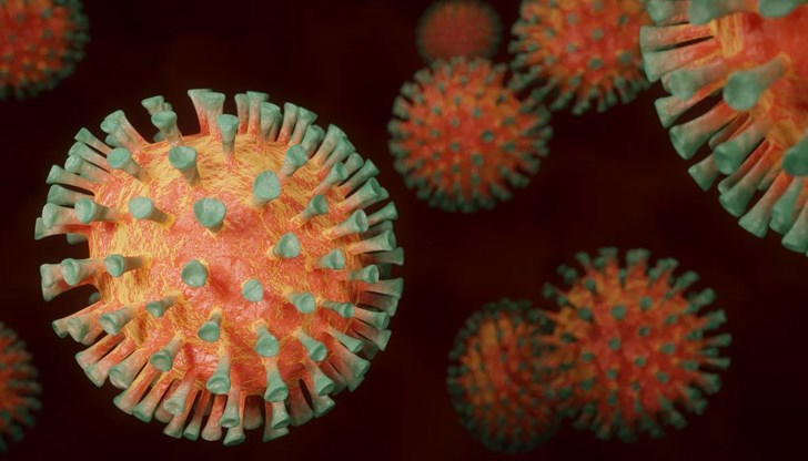 По данни на общо практикуващия лекар на 10-годишното дете то е хоспитализирано в Университетска болница „Света Марина“ в гр. Варна, като момчето не е посещавало училище от началото на учебната година