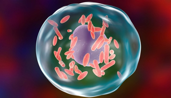 Механизмът на предаване на инфекцията при човека се реализира главно аерозолно
