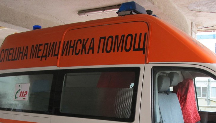 Колата им се блъснала в крайпътно дърво