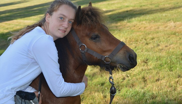 Организатор на Държавното първенството по Всестранна езда е СЕК „Кентавър – Русе, БФКС и Община Русе Организатор на Държавното първенството по Всестранна езда е СЕК „Кентавър – Русе, БФКС и Община Русе