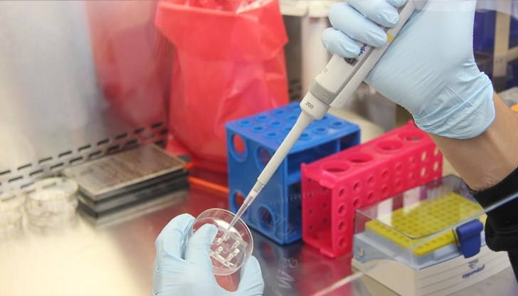 Методът позволява откриването на модификации в структурата на ДНК дори преди клиничната проява на заболяването