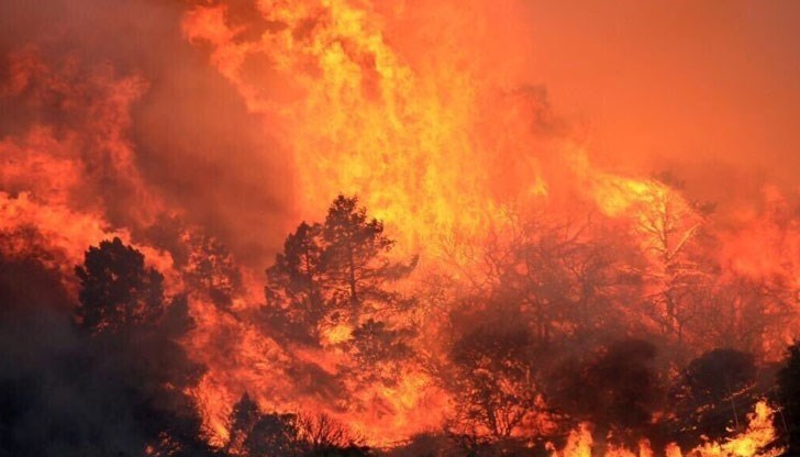 Възможни са бързо разпространяващи се много силни пожари, които са трудни за овладяване