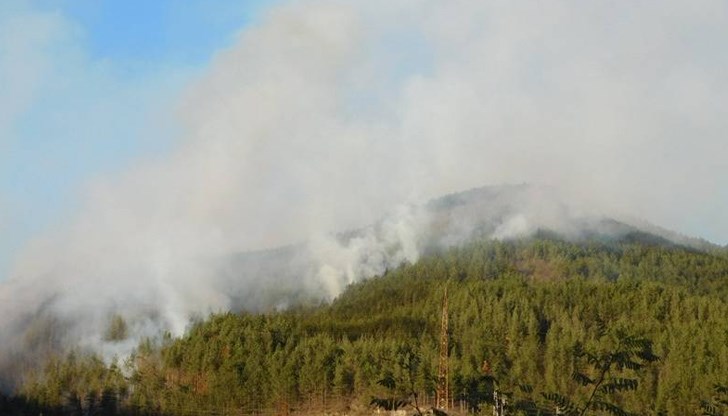 Детска игра с огън е причина за възникналия горски пожар в местността „Забърди“