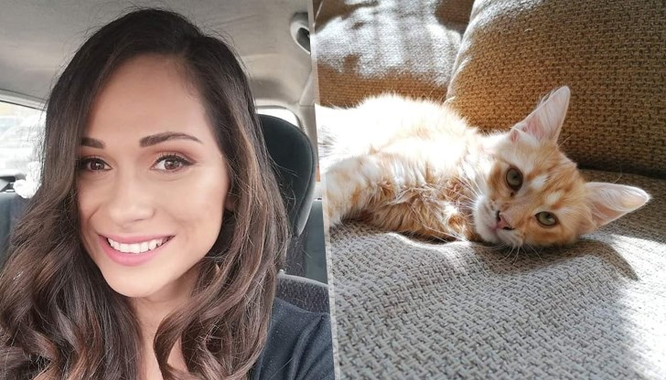 Котката е на 5 месеца, спасена от улицата, ще бъде кастрирана, когато навърши нужната възраст Котката е на 5 месеца, спасена от улицата, ще бъде кастрирана, когато навърши нужната възраст