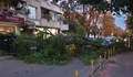 Огромно дърво се стовари върху няколко автомобила на метри от училище