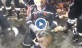 Пожарникари извадиха коте от отломките на труса в Измир