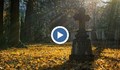 Възкресение след смъртен акт: Как мъж се събуди в гробищен парк?