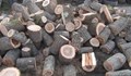Акция за съхранение на незаконна дървесина в русенско
