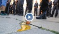 Протестиращите замеряха с яйца Министерството на отбраната