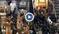 Мексиканец приюти стотици животни в дома си, за да ги спаси от ураган