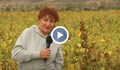 Валя Ахчиева разкри измама със земеделски фондове у нас