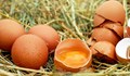 Защо яйцата могат да бъдат опасни за здравето