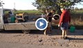 „Помогни си сам“: Местни жители асфалтират дупки по пътя към селото си