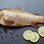Русе става домакин на „Празник на дунавската риба“