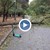 Дърво падна върху дете в пловдивски парк