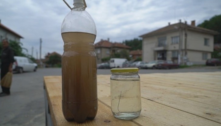 РЗИ щяло да изследва какви са мърдащите живи твари - попови лъжички ли са, водни кончета или други