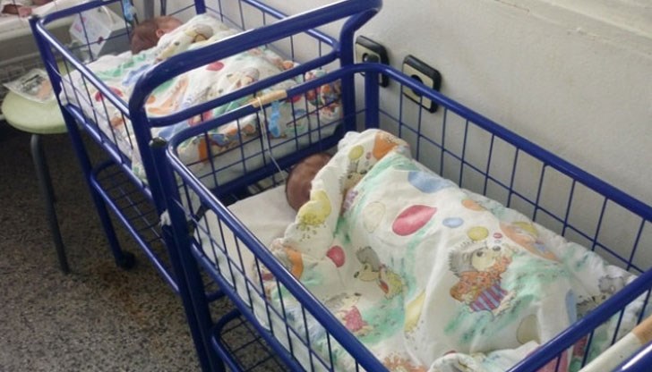 Първоначално новородените са били изолирани от майките им Първоначално новородените са били изолирани от майките им