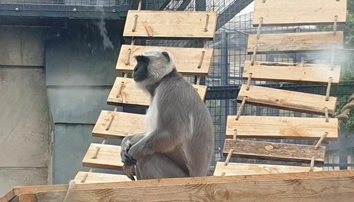 Новините у нас са все по-лоши и тъжни, но една от тях се оказа и малко смешна Новините у нас са все по-лоши и тъжни, но една от тях се оказа и малко смешна